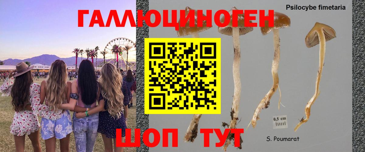 Галлюциногенные грибы GOLDEN TEACHER  Галлюциногенные грибы ЛСД  Вход с VPN  Югорск 